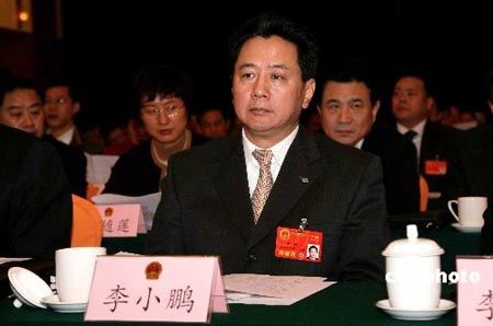 李小琳现为中国电力投资公司的高层管理人员