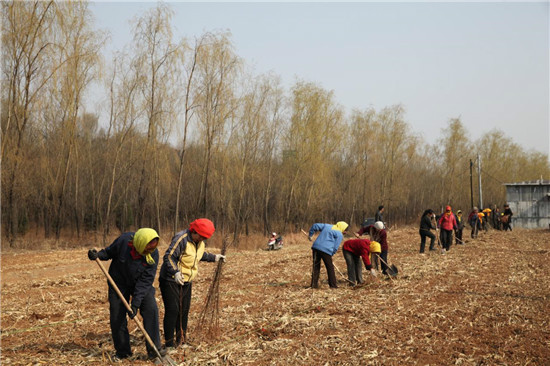 长治县加快农业结构调整步伐 增加农民收入