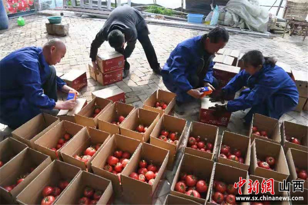 太原市小店区：1000斤绿色蔬菜送一线女性工作者