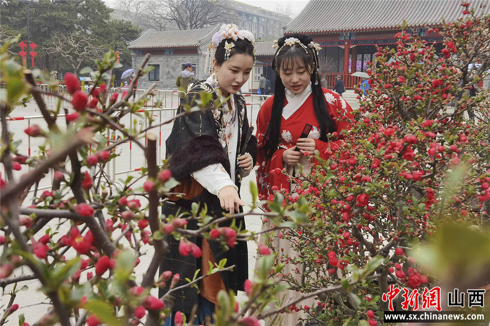 “第六届海棠春花文化季开幕 众多游客驻足观赏