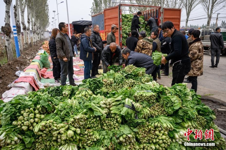 “河南卫辉1.3万斤灾后复种蔬菜运至山西洪灾地区