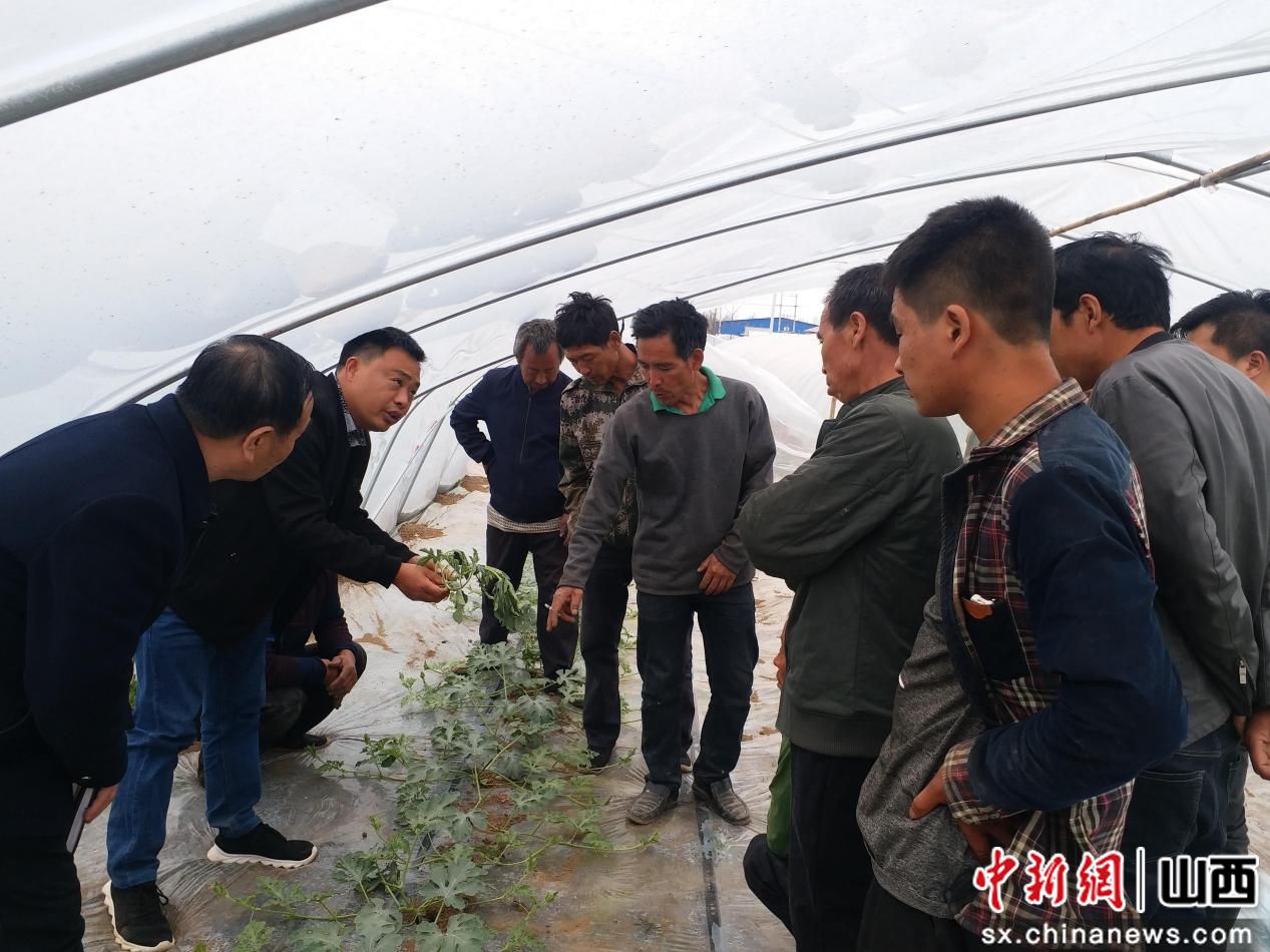 “山西夏县：建设“高校农产品供应基地”见成效
